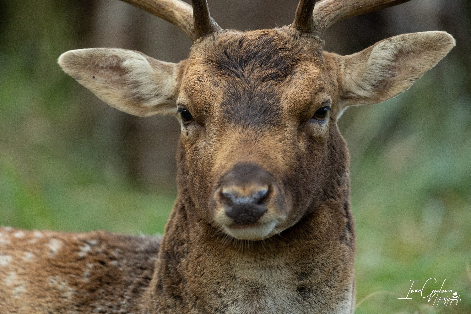 22 oktober 2023 111938  R2A8293